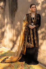Rang Rasiya Shehnaiya Wedding Rang Rasiya Shehnaiya Wedding