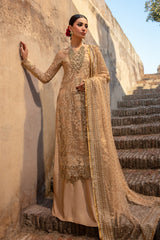 Rang Rasiya Shehnaiya Wedding Rang Rasiya Shehnaiya Wedding