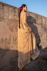 Rang Rasiya Shehnaiya Wedding Rang Rasiya Shehnaiya Wedding
