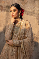 Rang Rasiya Shehnaiya Wedding Rang Rasiya Shehnaiya Wedding