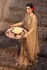 Rang Rasiya Shehnaiya Wedding Rang Rasiya Shehnaiya Wedding