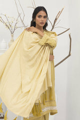 Lakhany Pashmina Shawl Edition | LG-AA-0023-B Lakhany Pashmina Shawl Edition | LG-AA-0023-B