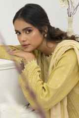 Lakhany Pashmina Shawl Edition | LG-AA-0023-B Lakhany Pashmina Shawl Edition | LG-AA-0023-B