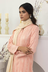 Lakhany Pashmina Shawl Edition | LG-AA-0023-A Lakhany Pashmina Shawl Edition | LG-AA-0023-A