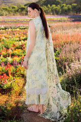 Jade Flora Lawn 2025 | 25-FLT-20655 Jade Flora Lawn 2025 | 25-FLT-20655
