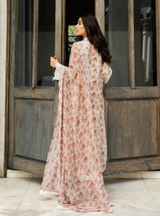 Zainab Chottani Chikankari Lawn 2025 | 9A Zainab Chottani Chikankari Lawn 2025 | 9A
