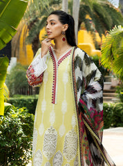 Zainab Chottani Chikankari Lawn 2025 | 12A Zainab Chottani Chikankari Lawn 2025 | 12A