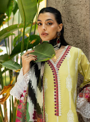 Zainab Chottani Chikankari Lawn 2025 | 12A Zainab Chottani Chikankari Lawn 2025 | 12A