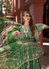 Elaf Signature Lawn 2025 | ETS-04B Elaf Signature Lawn 2025 | ETS-04B