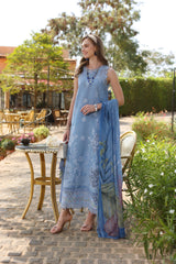 Noor Luxe Chikankaari 2025 by Saadia Aasad | D4-B Noor Luxe Chikankaari 2025 by Saadia Aasad | D4-B
