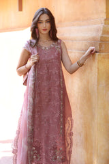 Noor Eid Luxury Laserkaari’25 by Saadia Aasad | D10-B Noor Eid Luxury Laserkaari’25 by Saadia Aasad | D10-B
