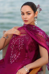 Noor Eid Luxury Laserkaari’25 by Saadia Aasad | D9-A Noor Eid Luxury Laserkaari’25 by Saadia Aasad | D9-A