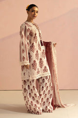 Coco Prints 2025 by Zara Shahjahan | Amari-1B Coco Prints 2025 by Zara Shahjahan | Amari-1B