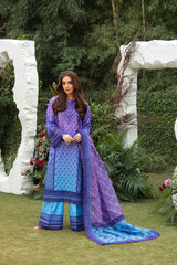 Sobia Nazir Luxury Lawn 2025 | 12B Sobia Nazir Luxury Lawn 2025 | 12B