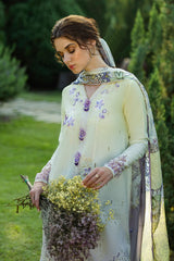 Mushq Solace Ombre Chikankari | Gioia Mushq Solace Ombre Chikankari | Gioia