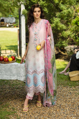 Mushq Solace Ombre Chikankari | Sorriso Mushq Solace Ombre Chikankari | Sorriso
