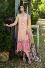 Mushq Solace Ombre Chikankari | Risate Mushq Solace Ombre Chikankari | Risate