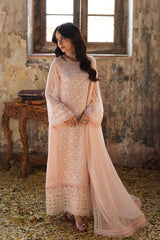 Azure Ensembles Chiffon Collection 2025 | Pink Mirage Azure Ensembles Chiffon Collection 2025 | Pink Mirage