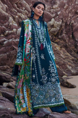 Elan Winter Collection Elan Winter Collection