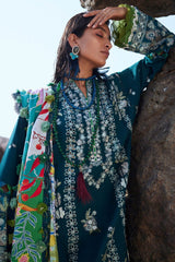 Elan Winter Collection Elan Winter Collection