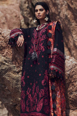 Elan Winter Collection Elan Winter Collection