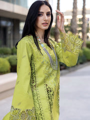 Rang Rasiya Carnation Embroidered Lawn 2025 | D-02 Rang Rasiya Carnation Embroidered Lawn 2025 | D-02