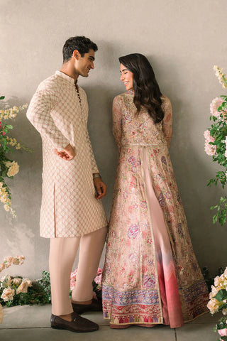 Mastani Evening Chiffon Collection by Mushq