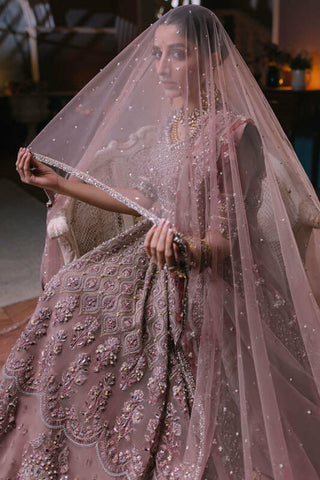 Elan Wedding Festive Collection 2023