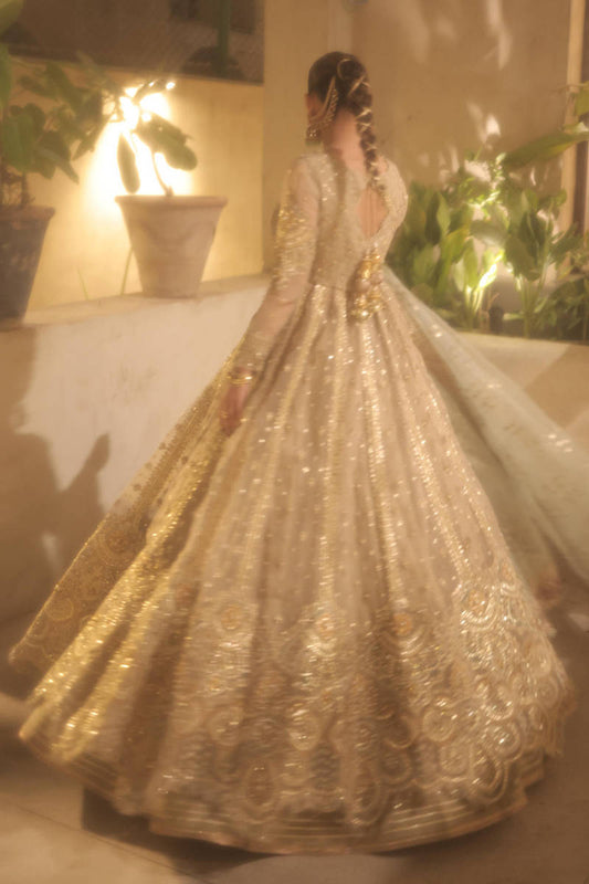 Zarlish By  Mohsin Naveed Ranjha Vol 5 Wedding`24 | ZWU-24-36-1 Saboor Aly in Shabnami