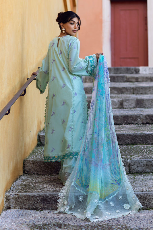 Ansab Jahangir Lawn 2025 | AJ-LL-25-2