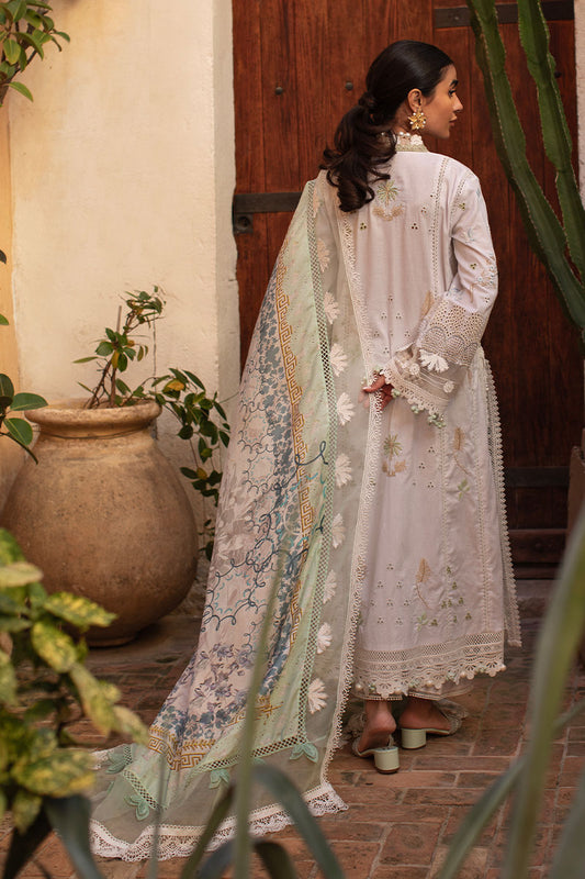 Ansab Jahangir Lawn 2025 | AJ-LL-25-7