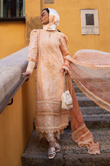 Ansab Jahangir Lawn 2025 | AJ-LL-25-9