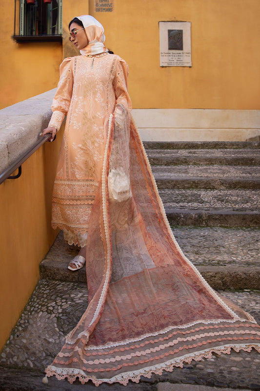 Ansab Jahangir Lawn 2025 | AJ-LL-25-9