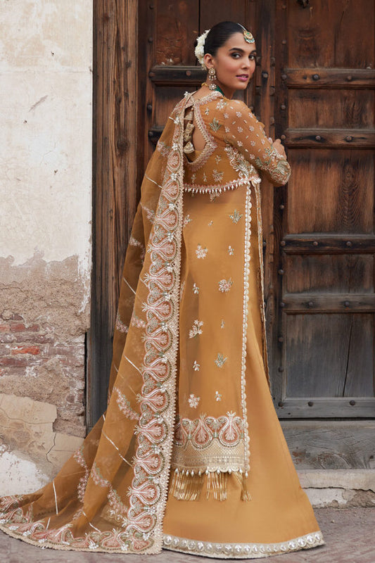 Dastangoi Wedding Formals by Afrozeh | Wedding & Party Collection | Shafaq-2023