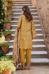 Damask Lawn by Afrozeh | Lorien B