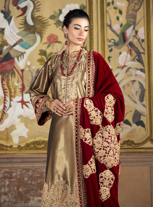 Zainab Chottani Velvet 2024  | Zerlin