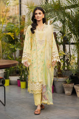 Lifestyle Summer Edit ’25 by Rangrasiya | RR25V04SLD11