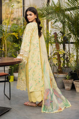 Lifestyle Summer Edit ’25 by Rangrasiya | RR25V04SLD11