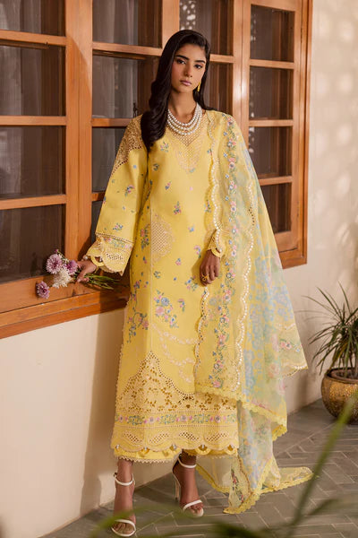 Festive Summer Lawn 2026 by Rajbari || Ayzel