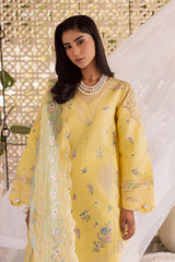 Festive Summer Lawn 2026 by Rajbari || Ayzel