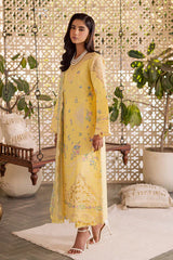 Festive Summer Lawn 2026 by Rajbari || Ayzel