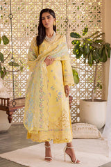 Festive Summer Lawn 2026 by Rajbari || Ayzel