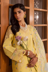 Festive Summer Lawn 2026 by Rajbari || Ayzel