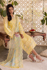 Festive Summer Lawn 2026 by Rajbari || Ayzel