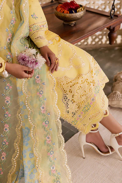 Festive Summer Lawn 2026 by Rajbari || Ayzel