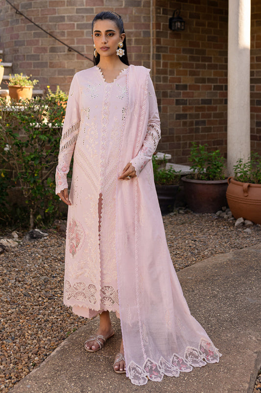 Qalamkar Qline Lawn 2025 | QM-03