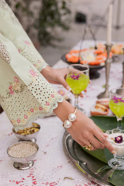 Festive Summer Lawn 2026 by Rajbari || Elina