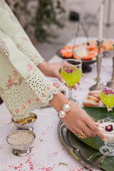 Festive Summer Lawn 2026 by Rajbari || Elina