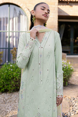 Qalamkar Qline Lawn 2025 | QM-08
