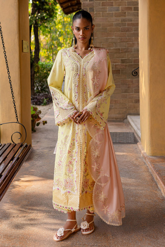 Qalamkar Qline Lawn 2025 | QM-11